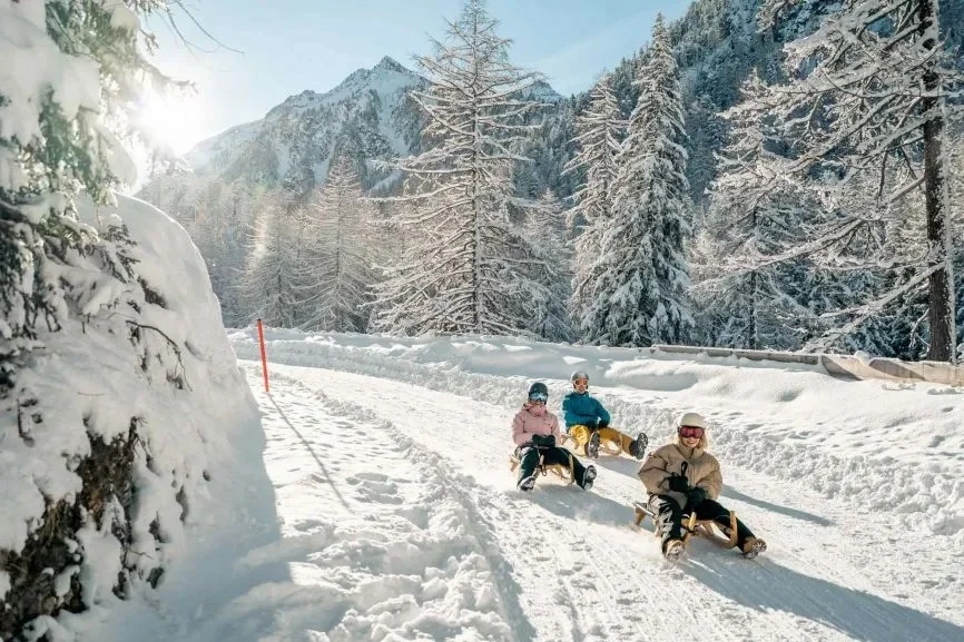 Seasonal Tour Packages: Where to Travel This Year