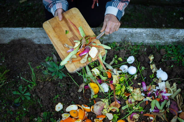 Zero-Waste Cooking: How to Reduce Food Waste
